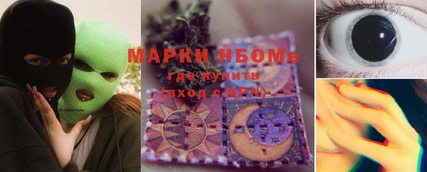 дживик Богородск