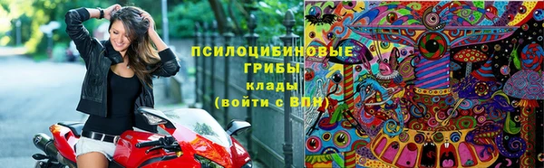 стаф Вязники