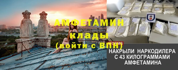 дживик Богородск