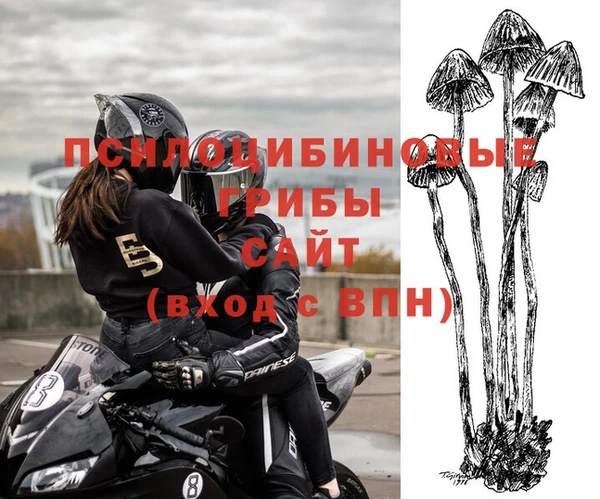 а пвп мука Белокуриха