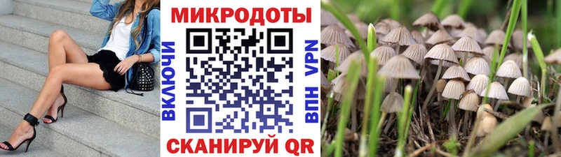 Псилоцибиновые грибы GOLDEN TEACHER  что такое наркотик  mega маркетплейс  Вязники 