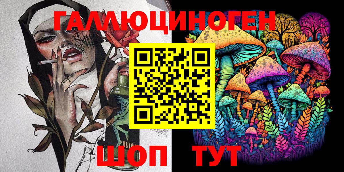 Псилоцибиновые грибы Psilocybine cubensis Вязники